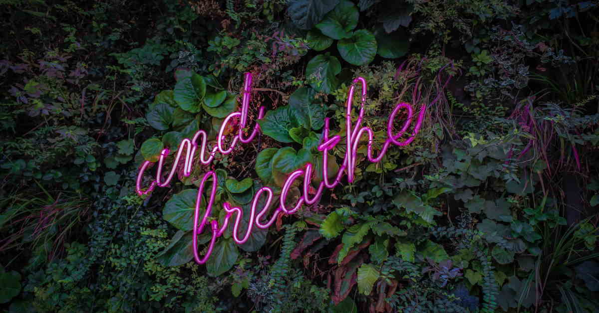 wall of green plants with neon sign reading 'just breathe'