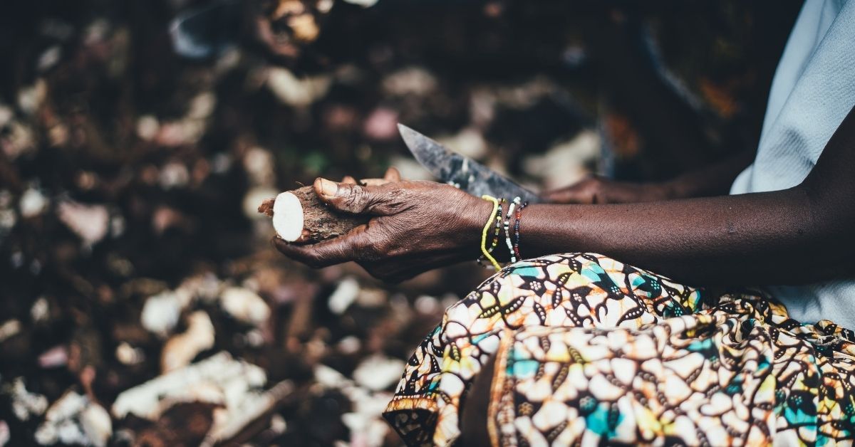 a woman cassava farming in sierra leone, west africa